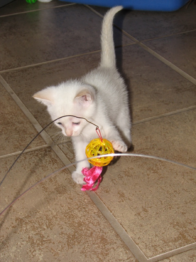 20100206 422.JPG